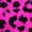 Pink Leopard